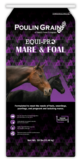 Equi-Pro Mare & Foal