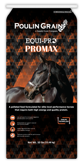 EQUI-PRO Pro-Max 12:12 Pellet