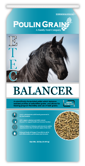 E-Tec Balancer Pellet Horse Feed 50lb bag