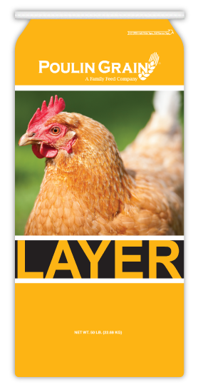 Layer Mash PREMIUM