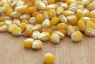 Organic Whole Corn