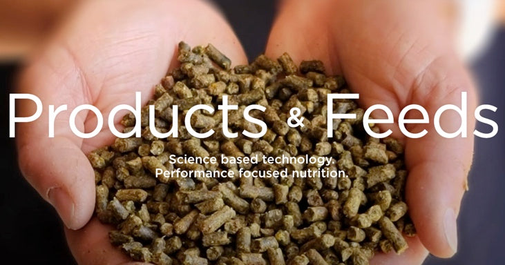 Timothy Pellets