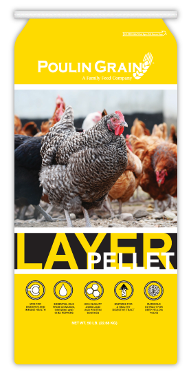 Layer Pellet PREMIUM