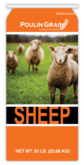 Sheep Complete Pellet