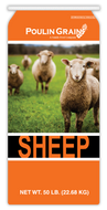 Sheep Mineral 1:1
