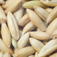 Golden Select Whole Oats