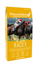 Decade RACE-X - Previously Race Formula