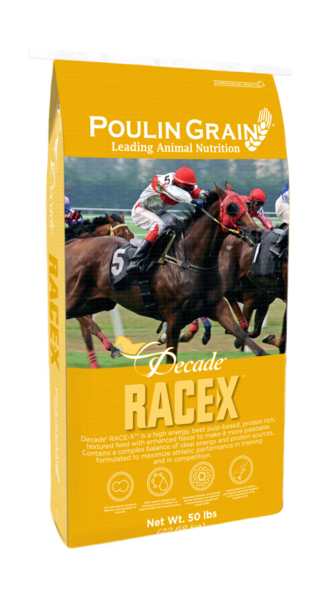 Decade RACE-X - Previously Race Formula