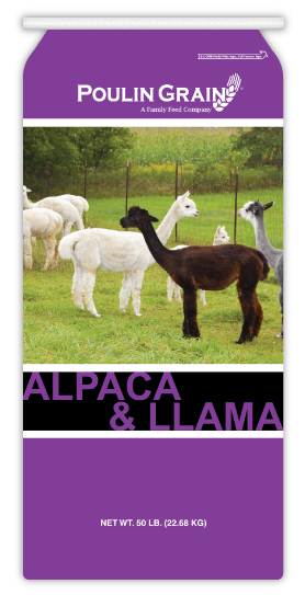 Alpaca/Llama Milk and Cria feed bag