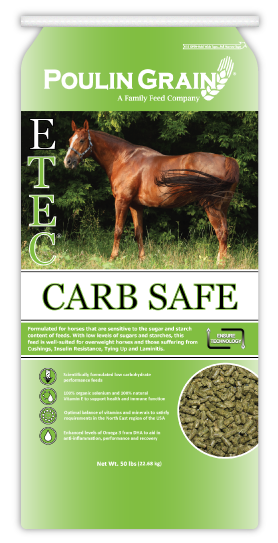 E-Tec Carb-Safe Soft Pellet Horse Feed 50lb bag