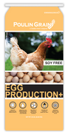 Picture of chickens and eggs call Egg Production Plus