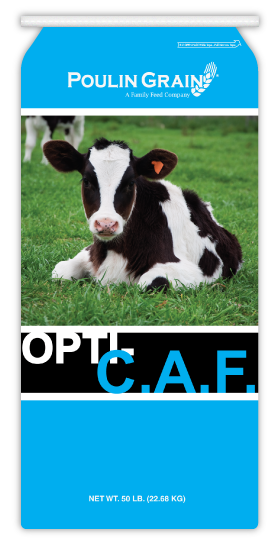 Opti-C.A.F. Textured Calf Starter