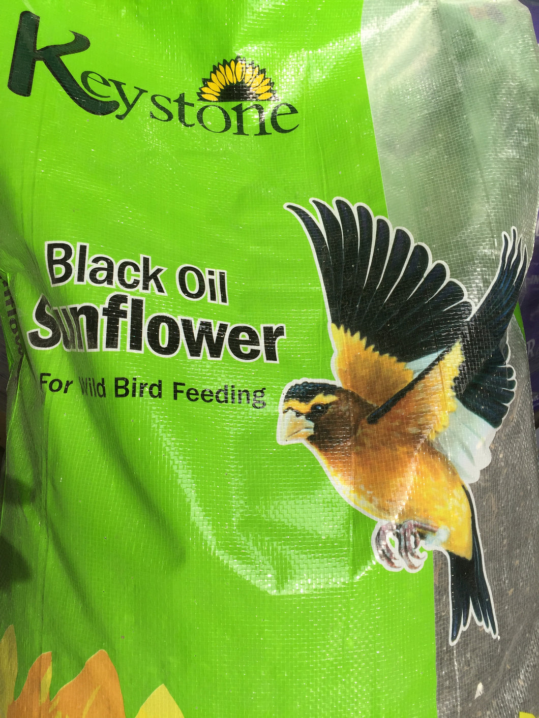 Black Oil Bird Seed 40lb bag - all sunflower seeds for birds