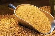Soybean Meal 48%