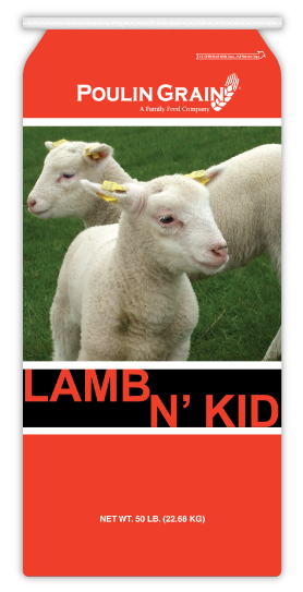 Lamb N' Kid's Starter Pellet
