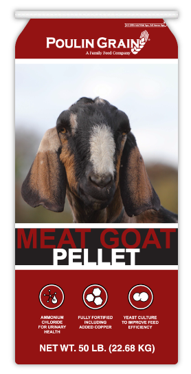 Meat Goat Pellet