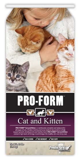 PRO-FORM Cat & Kitten